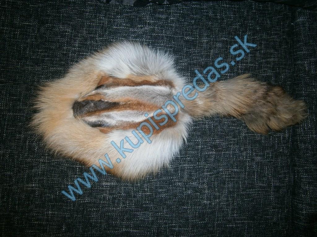 kožuch