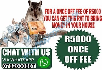 Money Spell In Rustenburg City, Magic Ring In Klerksdorp Town, Magic Rats In  Soshanguve Township Call ? +27782830887 Magic Wallet For Money In George City, Money Spell In East London And Cape Town South Africa