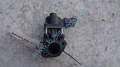 egr ventil na suzuki swift 1,3i, 79073A